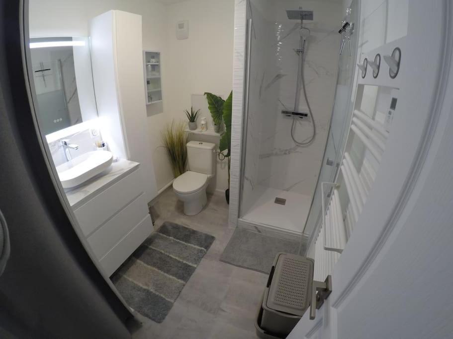 Appartement T3 Proche De Saumur Extérieur photo